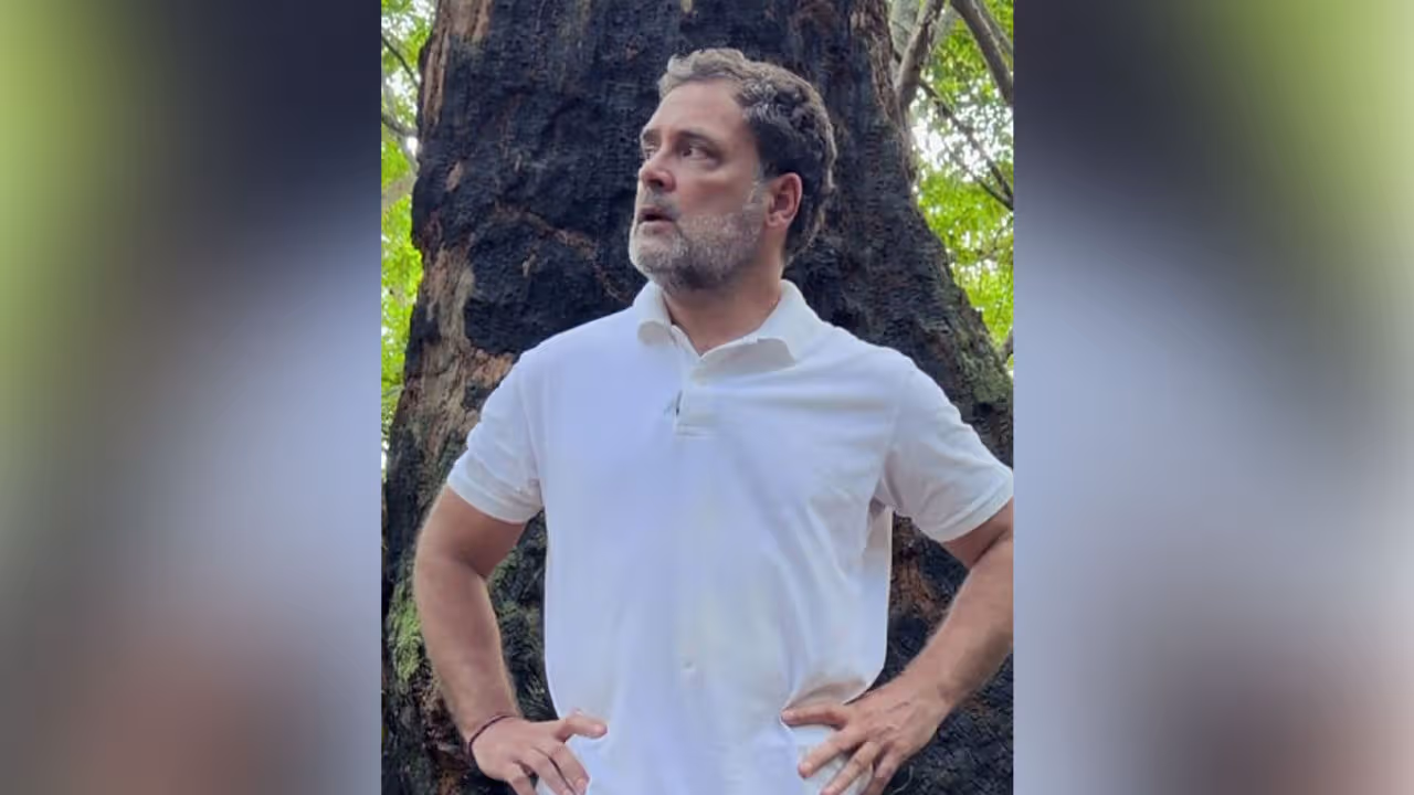 నికోబార్ లో కేంద్రం పర్యావరణ విధ్వంసం : రాహుల్ గాంధీ ట్వీట్