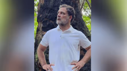 నికోబార్ లో కేంద్రం పర్యావరణ విధ్వంసం : రాహుల్ గాంధీ ట్వీట్