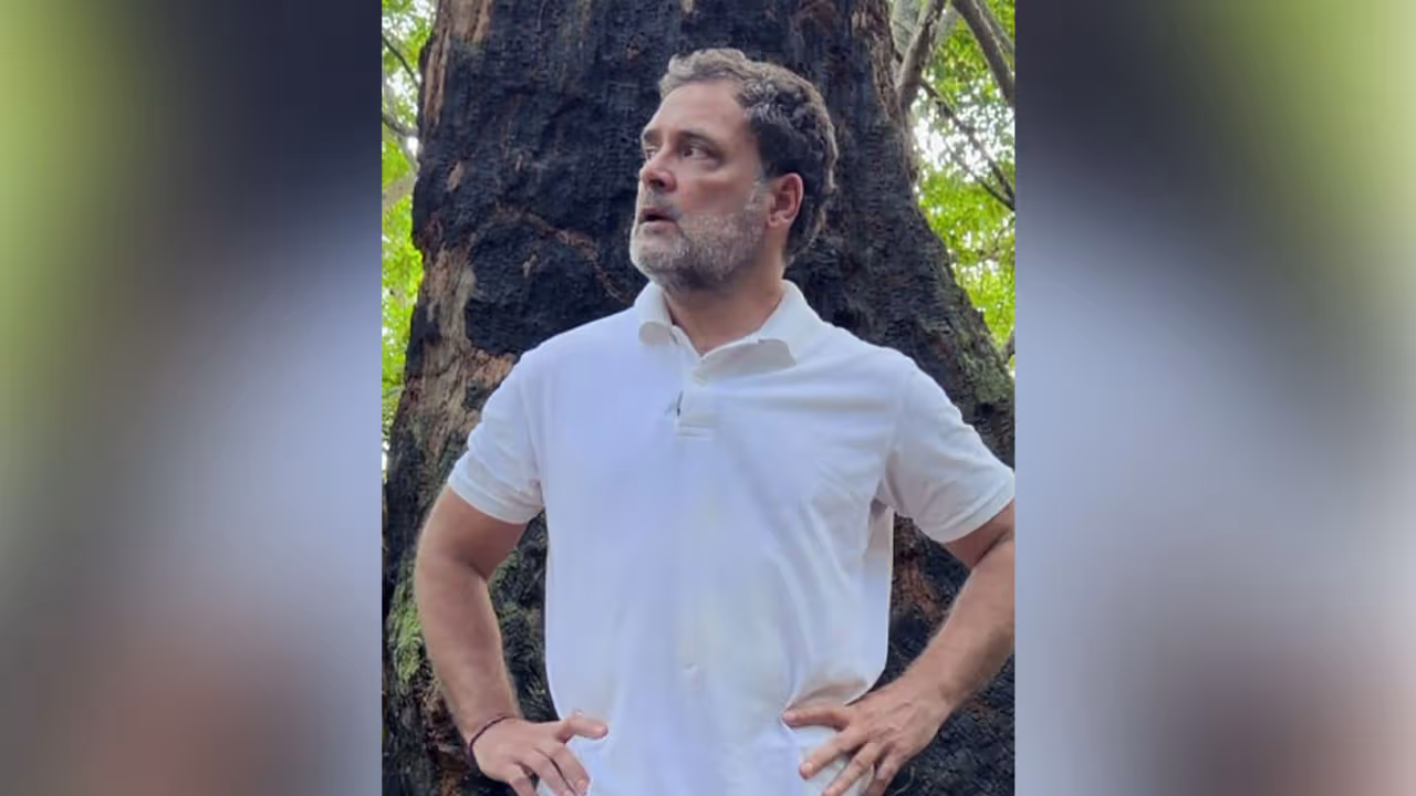 నికోబార్ లో కేంద్రం పర్యావరణ విధ్వంసం : రాహుల్ గాంధీ ట్వీట్