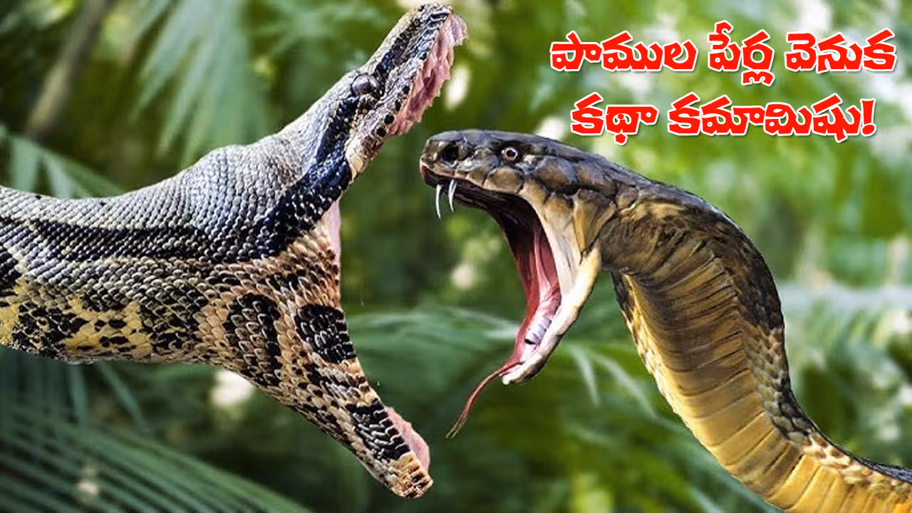 పాములకు పేర్లు పెట్టడం అంత ‘వీజీ’ కాదు.. సుదీర్ఘ ప్రక్రియ తెలిస్తే షాకే