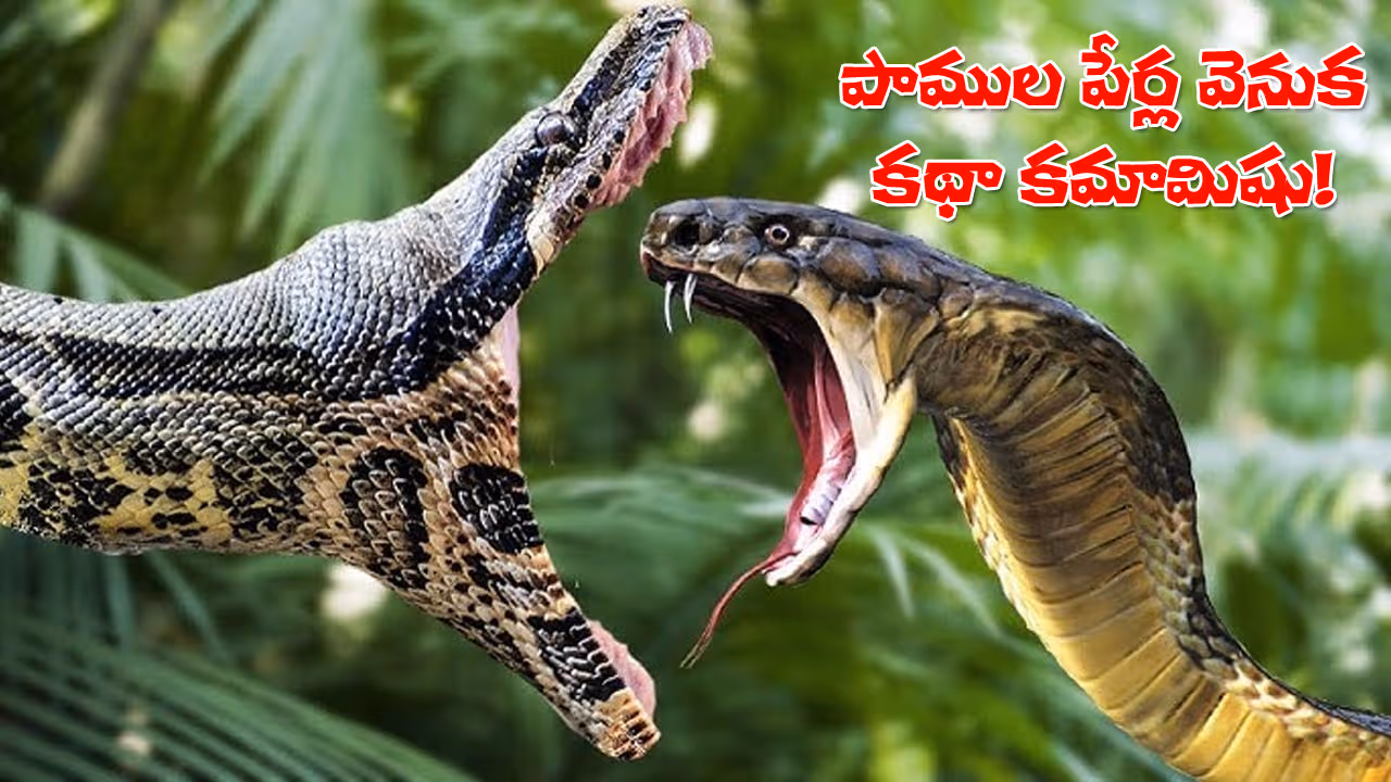 పాములకు పేర్లు పెట్టడం అంత ‘వీజీ’ కాదు.. సుదీర్ఘ ప్రక్రియ తెలిస్తే షాకే