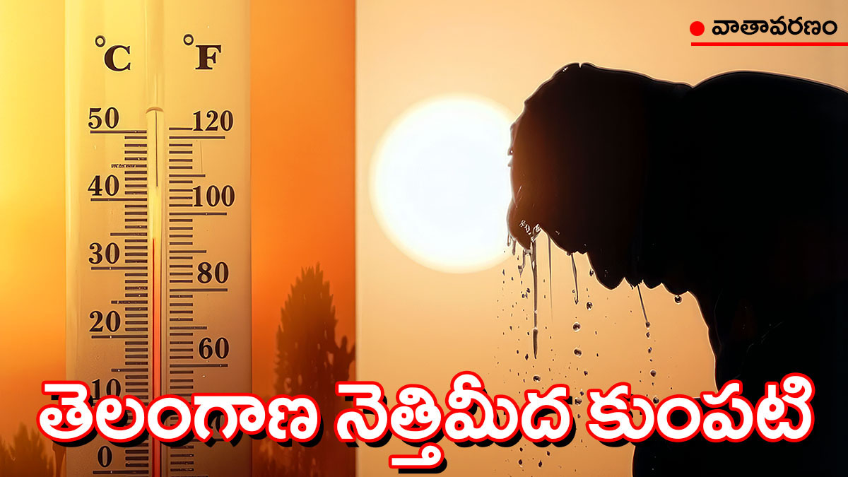 తెలంగాణలో పెరుగుతున్న ఉష్ణోగ్రతలు, థర్మామీటర్‌లో 44 డిగ్రీలకు చేరువైన వేడి