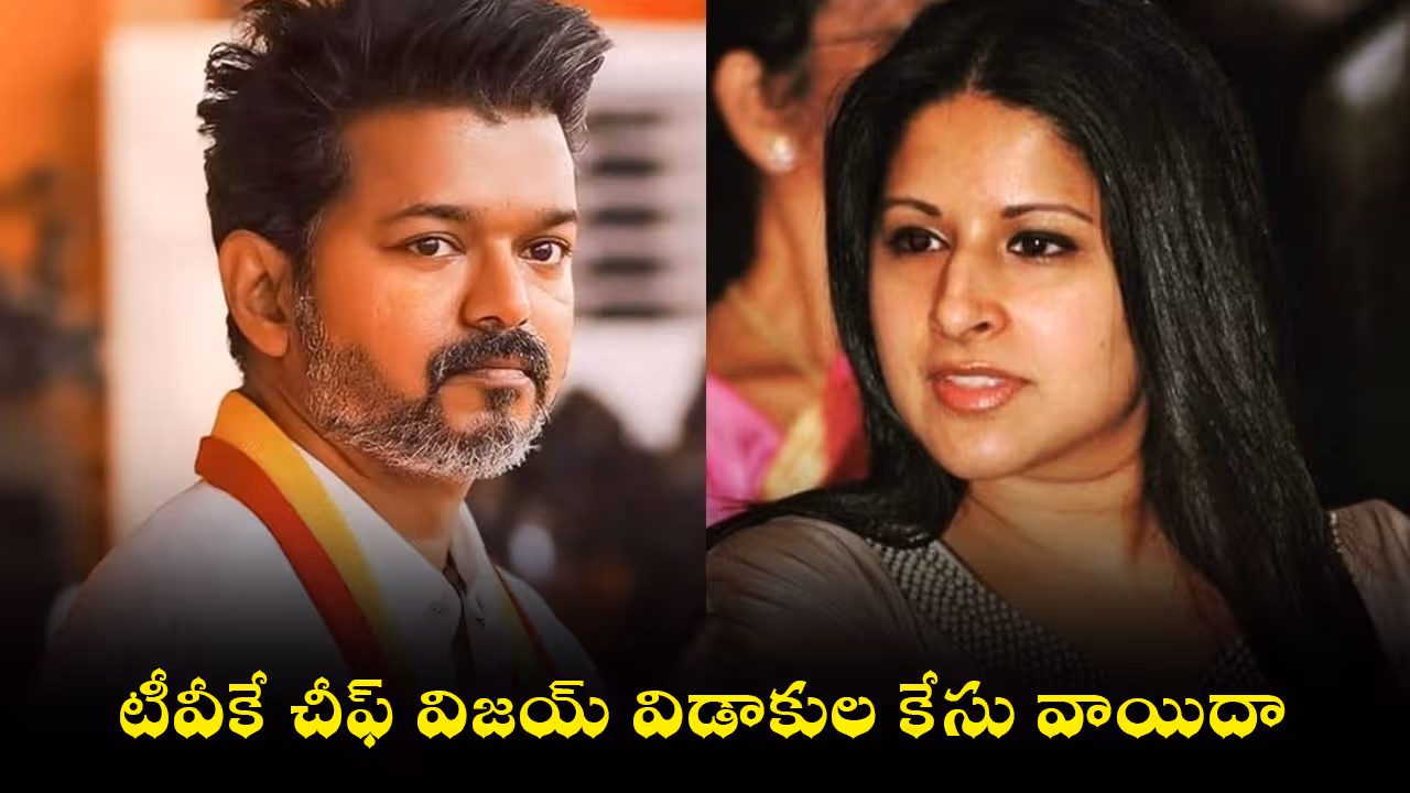 టీవీకే చీఫ్ విజయ్ విడాకుల కేసు వాయిదా