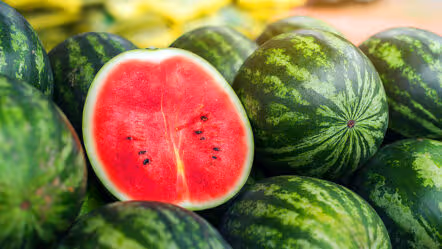 Watermelon Death | మళ్లీ అదే టెన్షన్.. పుచ్చకాయ తిన్న కాసేపటికే తండ్రి మృతి.. కొడుకు పరిస్థితి విషమం