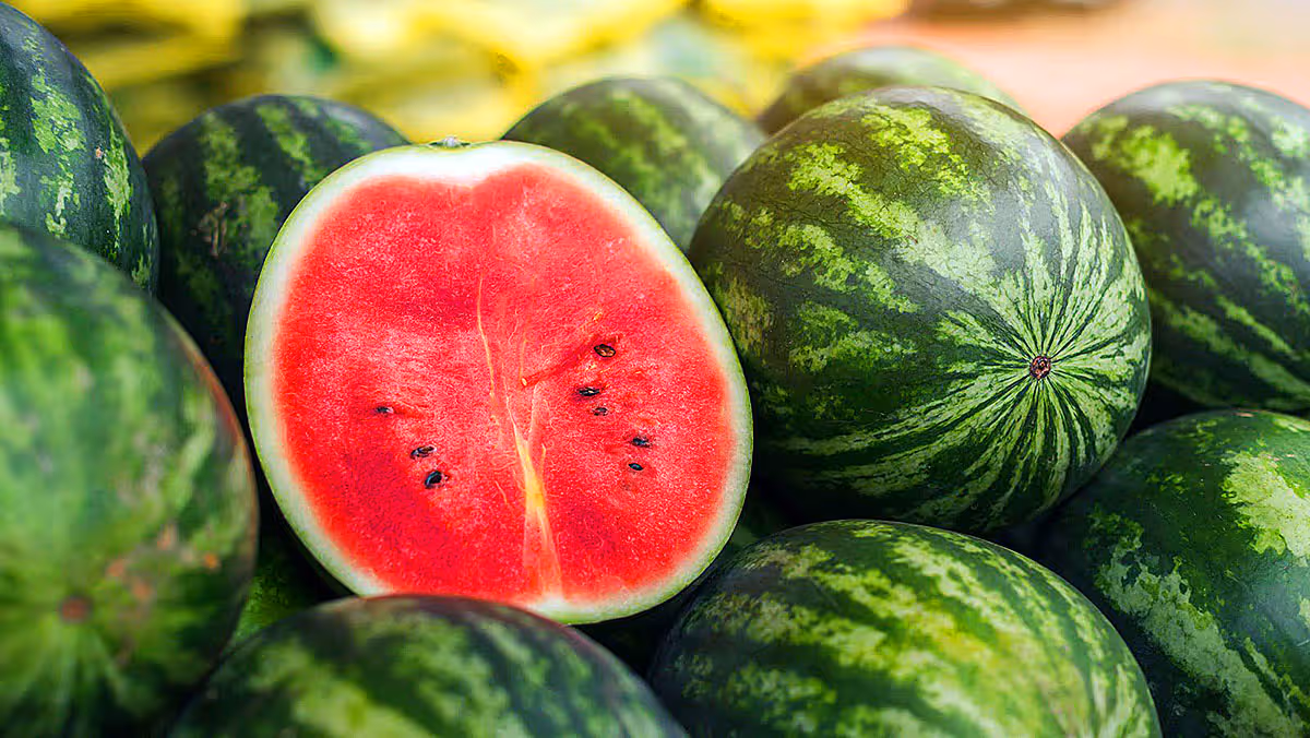Watermelon Death | మళ్లీ అదే టెన్షన్.. పుచ్చకాయ తిన్న కాసేపటికే తండ్రి మృతి.. కొడుకు పరిస్థితి విషమం