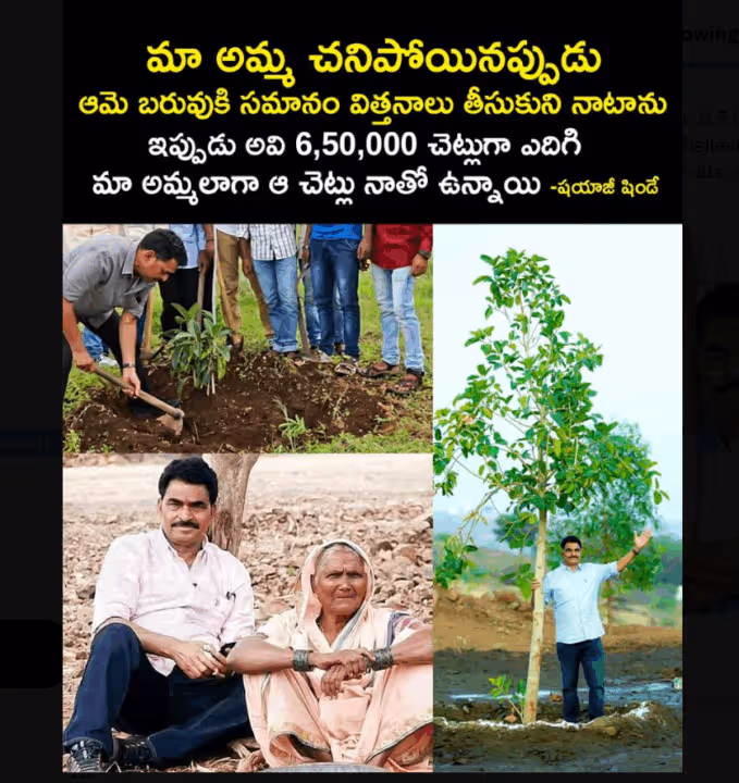 రియల్ హీరో సాయాజీ షిండే..అమ్మ స్మారకార్థం 6.50లక్షల మొక్కలు
