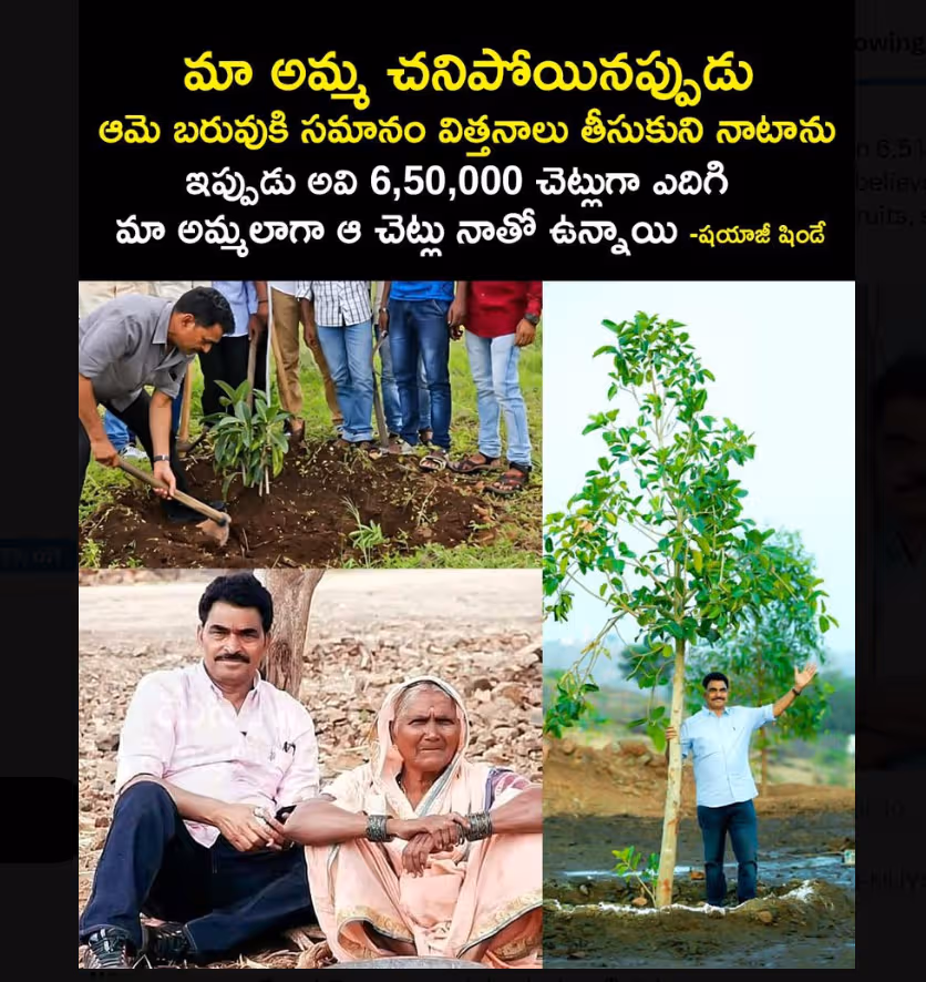 రియల్ హీరో సాయాజీ షిండే..అమ్మ స్మారకార్థం 6.50లక్షల మొక్కలు