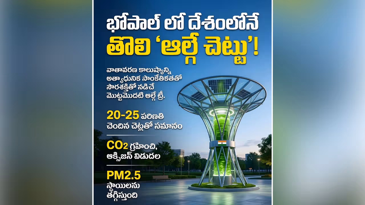 దేశంలోని తొలి ఆల్గే చెట్టు…యాంత్రిక హరిత విప్లవం
