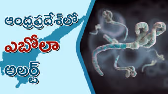 ఆంధ్రప్రదేశ్​లో ఎబోలా అలర్ట్‌.. ఎయిర్‌పోర్టుల్లో స్క్రీనింగ్‌, ఆసుపత్రుల్లో ఐసోలేషన్‌ వార్డులు