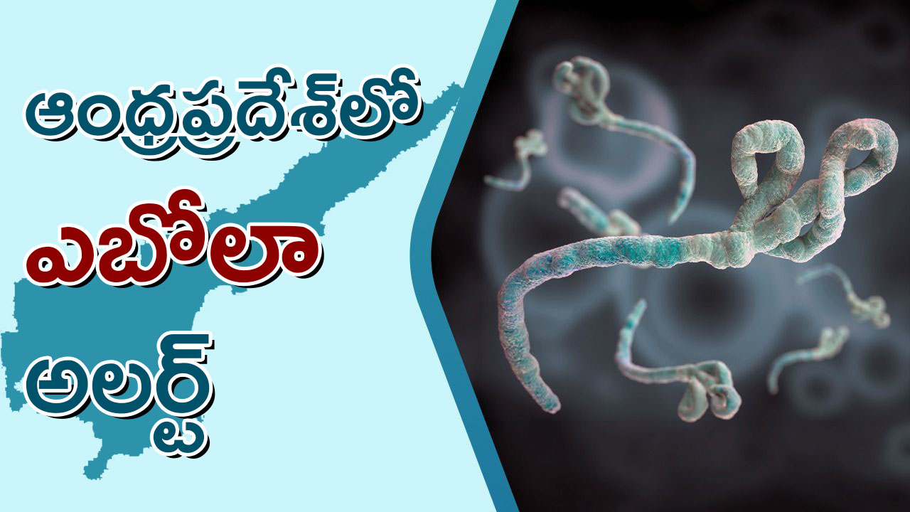 ఆంధ్రప్రదేశ్‌లో ఎబోలా అలర్ట్‌ సూచించే గ్రాఫిక్‌ చిత్రం