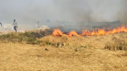 పెద్దపల్లిలో భారీ అగ్నిప్రమాదం.. రూ. 20 లక్షల ధాన్యం బుగ్గిపాలు
