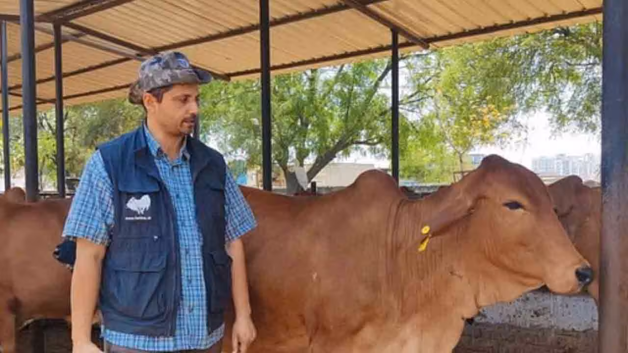 Desi Cow Farming | సాఫ్ట్‌వేర్ జాబ్ వదిలి దేశీ ఆవుల పెంపకం.. డెయిరీ ఫామ్‌తో ఏటా 10 కోట్ల టర్నోవర్ చేస్తున్న టెకీ!