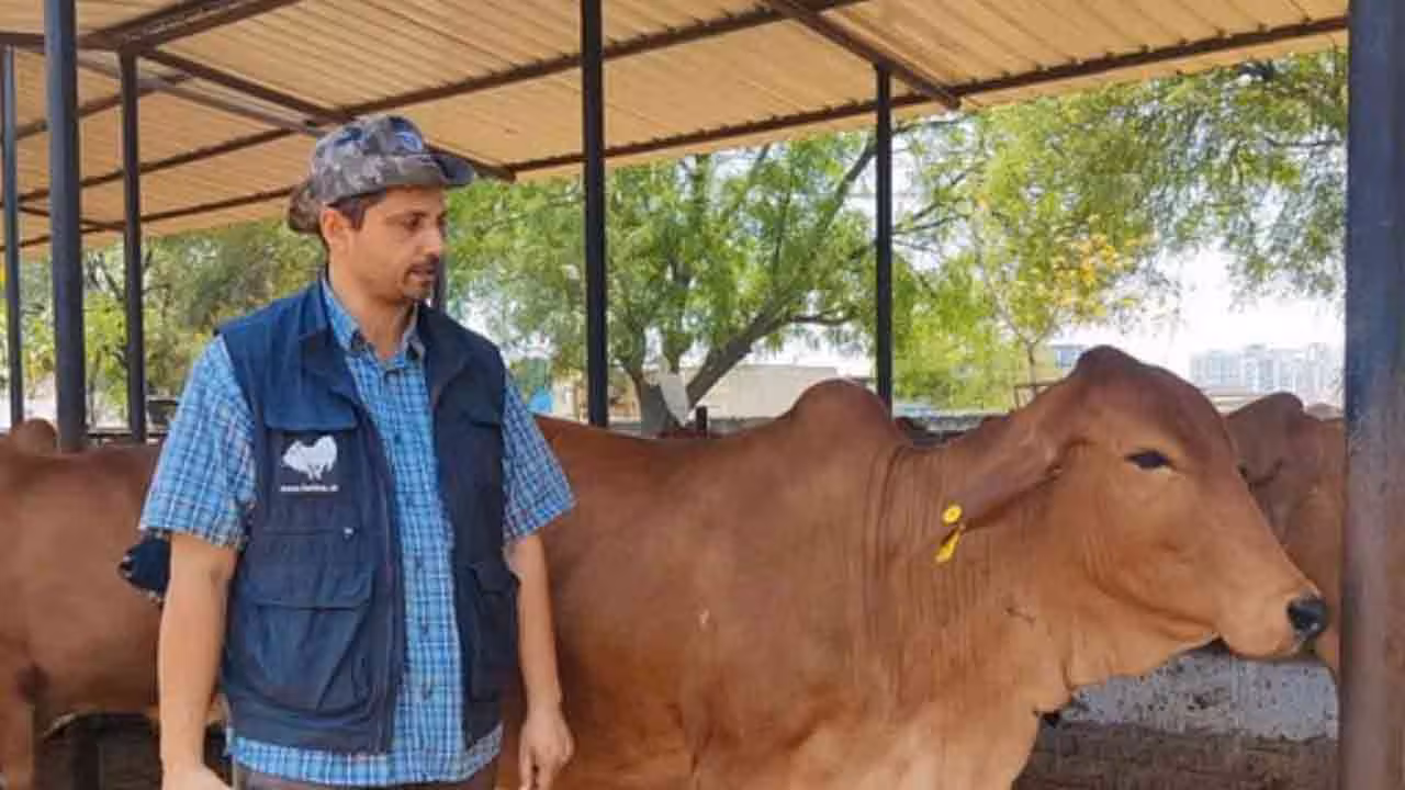 Desi Cow Farming | సాఫ్ట్‌వేర్ జాబ్ వదిలి దేశీ ఆవుల పెంపకం.. డెయిరీ ఫామ్‌తో ఏటా 10 కోట్ల టర్నోవర్ చేస్తున్న టెకీ!