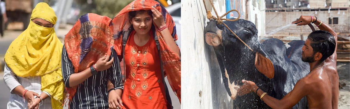 People shielding themselves from extreme heat while a man bathes a buffalo to beat the scorching Hyderabad summer