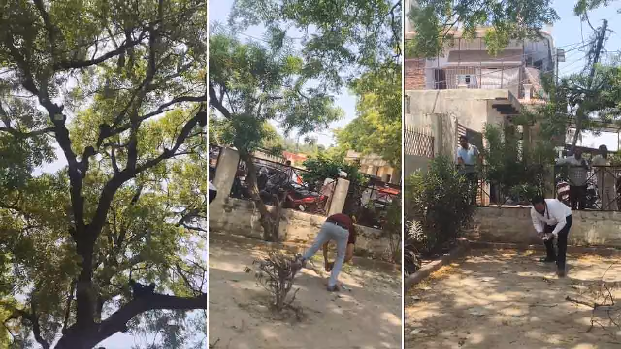 Viral Video | లాయర్ చేతిలో బ్యాగ్ లాక్కొని.. నోట్ల వర్షం కురిపించిన కోతి.. వీడియో వైరల్