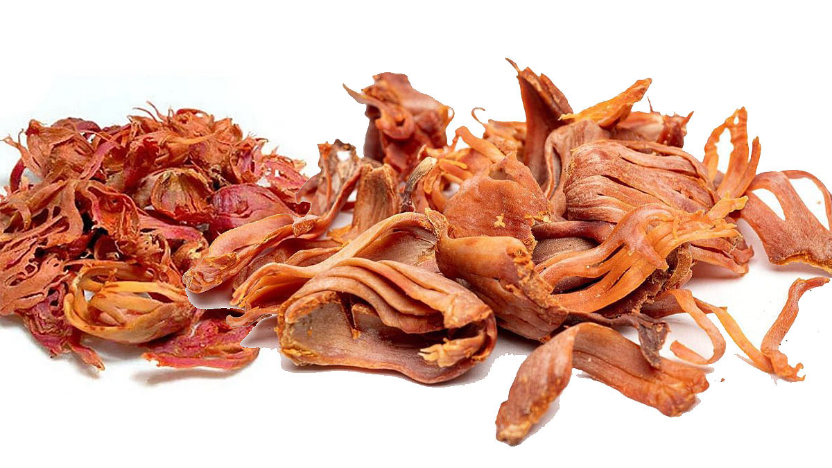 dried nutmeg mace spice close view