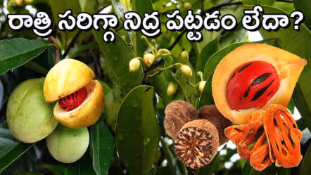 రాత్రిపూట సరిగ్గా నిద్రపట్టడం లేదా?.. పాలల్లో జాజికాయ పొడి – గాఢ నిద్ర గ్యారెంటీ.!