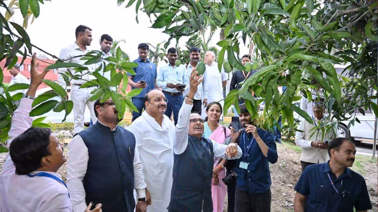 వండర్.. ఒకే చెట్టుకు 234 రకాల మామిడిపండ్లు !