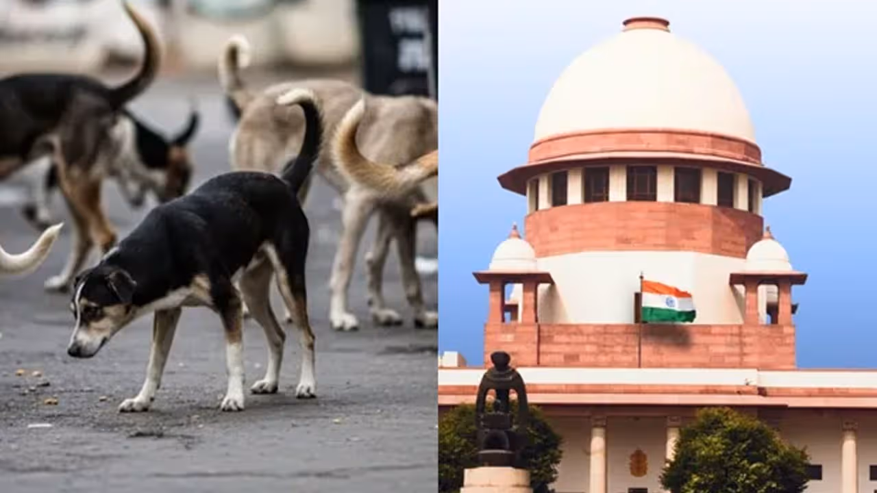 వీధి కుక్కల సమస్యపై సుప్రీంకోర్టు కీలక తీర్పు