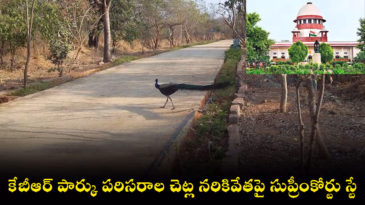 కేబీఆర్ పార్కు పరిసరాల చెట్ల నరికివేతపై సుప్రీంకోర్టు స్టే