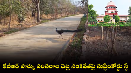 కేబీఆర్ పార్కు పరిసరాల చెట్ల నరికివేతపై సుప్రీంకోర్టు స్టే