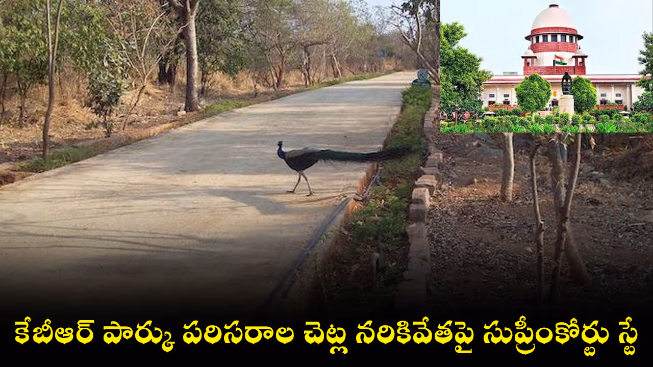కేబీఆర్ పార్కు పరిసరాల చెట్ల నరికివేతపై సుప్రీంకోర్టు స్టే