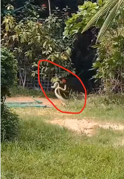 జీహెచ్ఎంసీ కార్యాలయంలో ఓ జంట సయ్యాట!