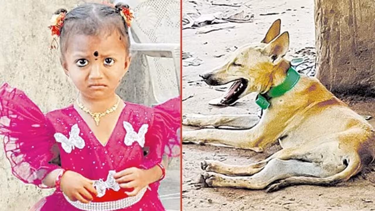 చిన్నారి జ్ఞానేశ్వరి అదృశ్యం కేసులో పెంపుడు కుక్క మృతి