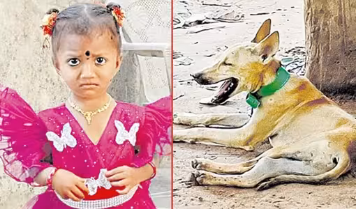 చిన్నారి జ్ఞానేశ్వరి అదృశ్యం కేసులో పెంపుడు కుక్క మృతి
