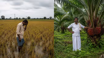 పంట మార్పిడిపై ప్రభుత్వ ‘ఆపదమొక్కులు’.. నేతలు, అధికారుల చిత్తశుద్ధిపై అనుమానాలు