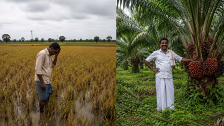 పంట మార్పిడిపై ప్రభుత్వ ‘ఆపదమొక్కులు’.. నేతలు, అధికారుల చిత్తశుద్ధిపై అనుమానాలు