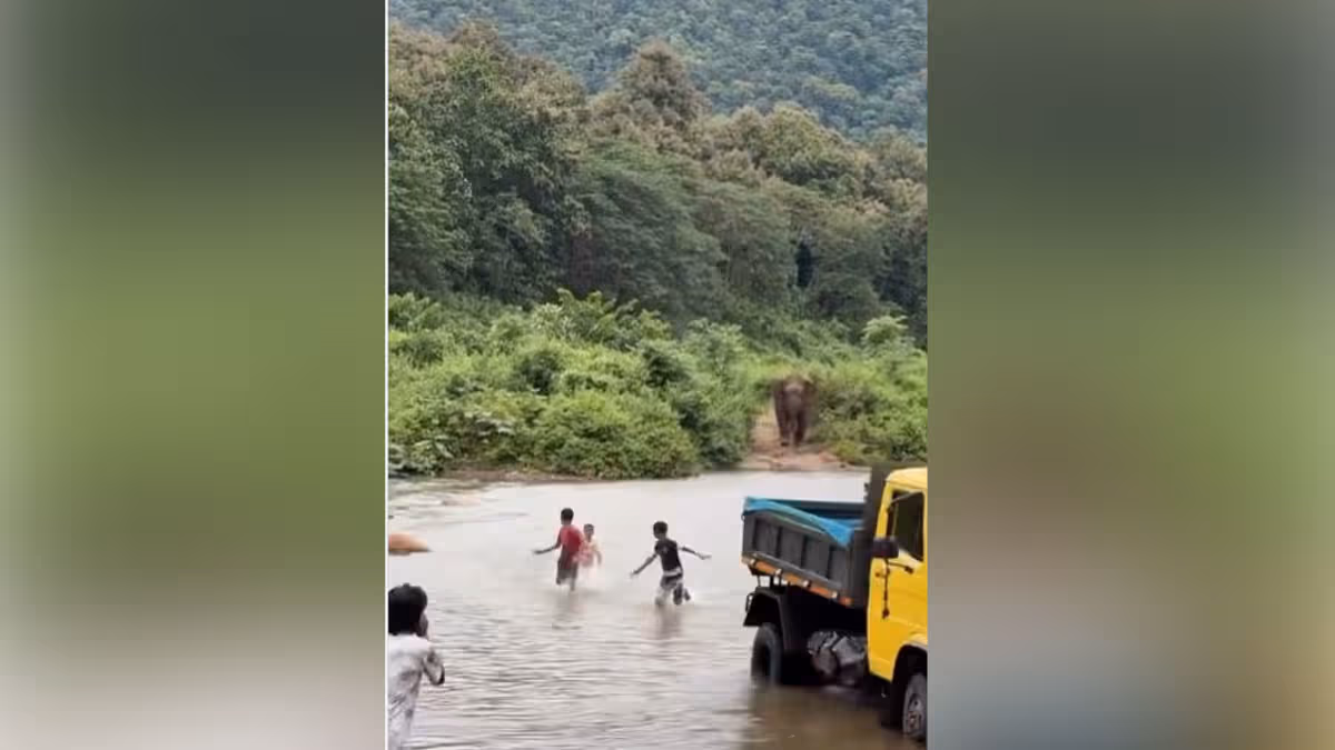 నా అడ్డాలోకి వస్తే తరిమేస్తా: ఏనుగు బీభత్సం వైరల్