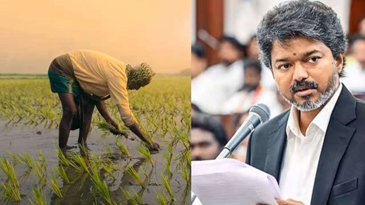 తమిళనాడులో రైతు రుణమాఫీ: సీఎం విజయ్‌ నిర్ణయం