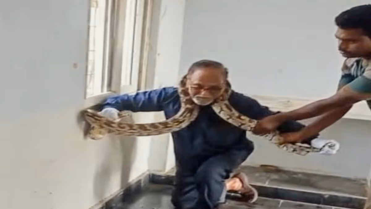 బాలికల హాస్టల్‌లో 12 అడుగుల కొండచిలువ