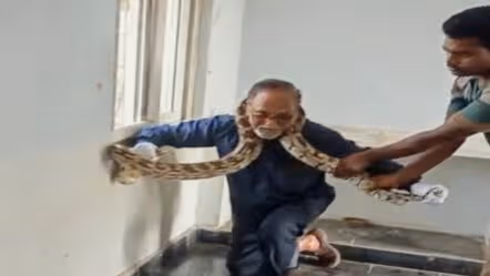 బాలికల హాస్టల్‌లో 12 అడుగుల కొండచిలువ