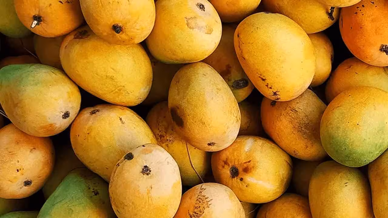 Mangoes | హైద‌రాబాద్‌లో విషాదం.. మామిడి పండ్లు తిన్నారు.. అక్కాచెల్లెళ్లు మ‌ర‌ణించారు..