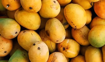 Mangoes | హైద‌రాబాద్‌లో విషాదం.. మామిడి పండ్లు తిన్నారు.. అక్కాచెల్లెళ్లు మ‌ర‌ణించారు..