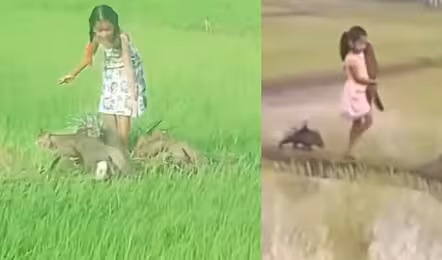 డిస్నీ యువరాణి…బాలికతో ముళ్ల పంది సంచారం!