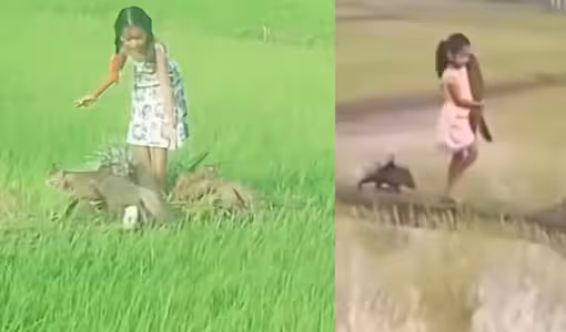 డిస్నీ యువరాణి…బాలికతో ముళ్ల పంది సంచారం!