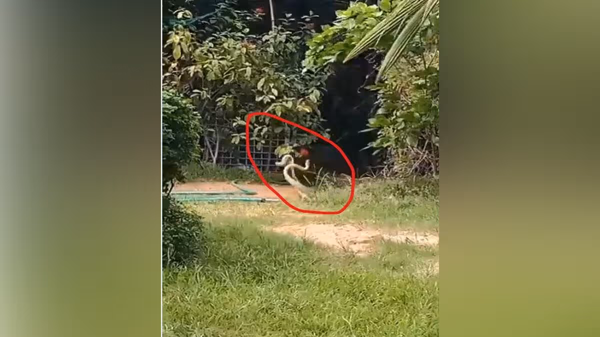 జీహెచ్ఎంసీ కార్యాలయంలో ఓ జంట సయ్యాట!