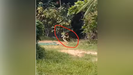 జీహెచ్ఎంసీ కార్యాలయంలో ఓ జంట సయ్యాట!