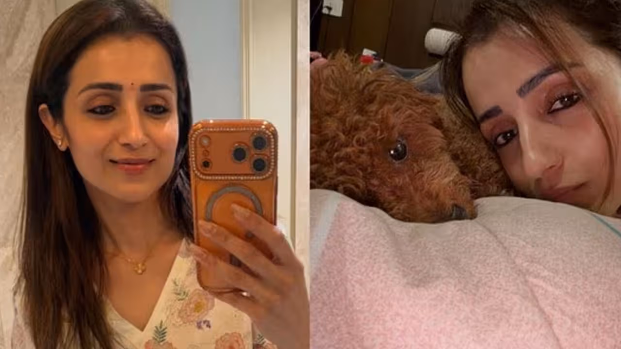 Trisha | త్రిషకు ‘మ్యాజికల్ మే’.. వైరల్‌గా మారిన ఫొటోలు.. విజయ్‌తో రిలేషన్‌షిప్ ప్రచారంపై మళ్లీ చర్చ!