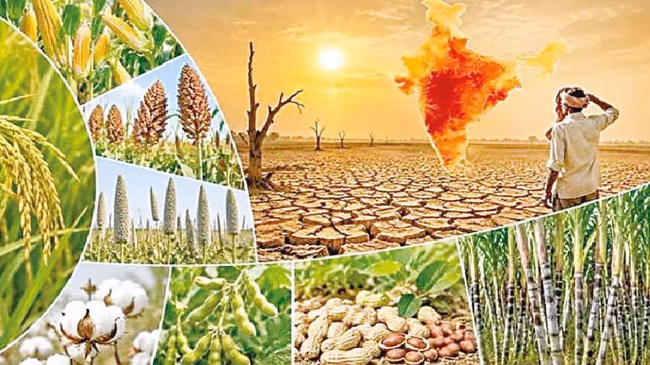 ఎల్‌నినోపై తెలంగాణ సర్కార్ ముందస్తు కార్యాచరణ ప్రణాళిక విడుదల