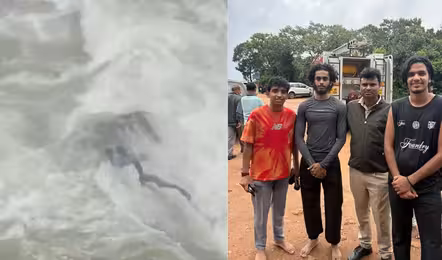 అదృష్టం అంటే వీరిదే..జలపాతంలో కొట్టుకుపోతూ బతికేశారు!