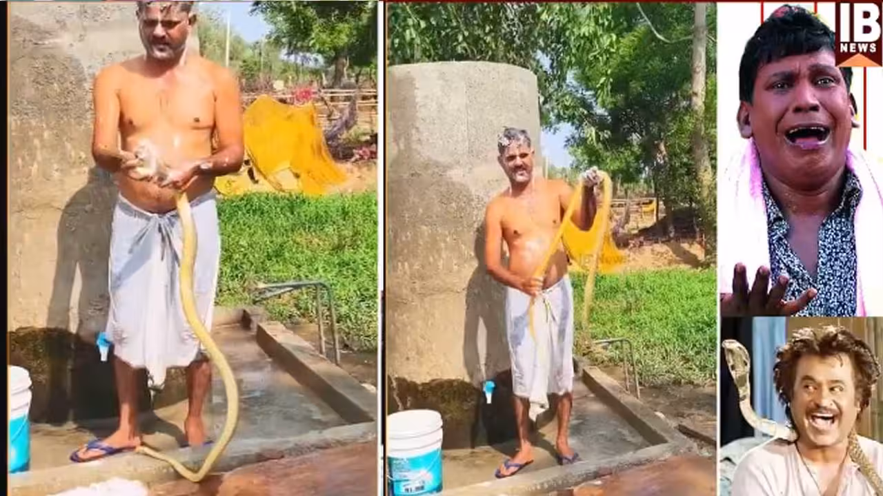 ఇదేమి చోద్యం…హమామ్ సబ్బుతో పాముకు స్నానం..వైరల్ వీడియో