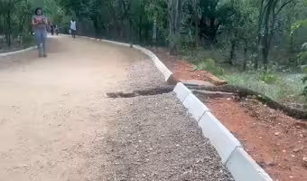 నగరంలో కొండ చిలువ..కేబీ పార్కులో ఘటన