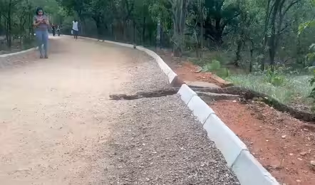 నగరంలో కొండ చిలువ..కేబీ పార్కులో ఘటన