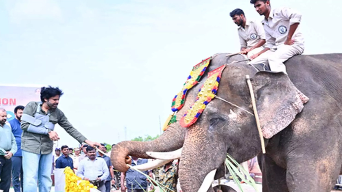 మన్యం జిల్లాకు కుంకీ ఏనుగులు..పవన్ కల్యాణ్ ఘన స్వాగతం